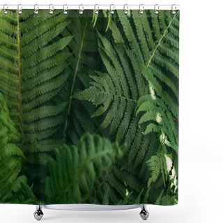 Personality  Close Up Background With Green Fern Leaves  Shower Curtains