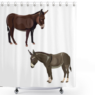 Personality  Two Donkeys Vector Shower Curtains