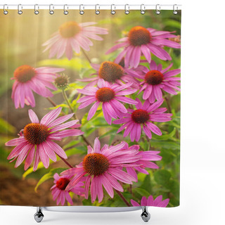 Personality  Echinacea Flowers Shower Curtains