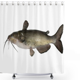 Personality  Channel Catfish Shower Curtains
