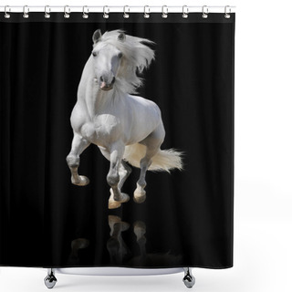 Personality  White Horse Isolated Shower Curtains