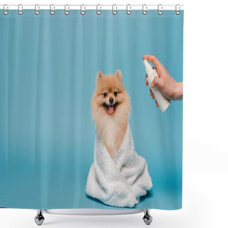 Personality  Cropped View Of Groomer With Spray Bottle Near Pomeranian Spitz Dog Wrapped In Towel On Blue Shower Curtains