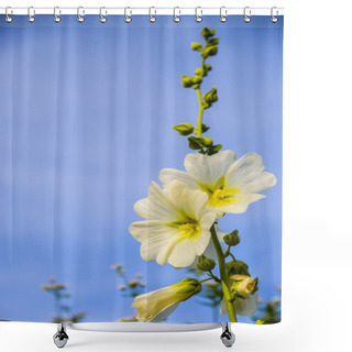 Personality  White Flower With Blue Sky Shower Curtains