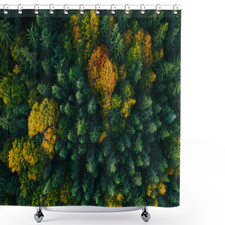 Personality  Aerial View Of Autumn Tree Tops. Shower Curtains