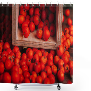 Personality  Scattered Sorbus Berries From Wooden Box  Shower Curtains