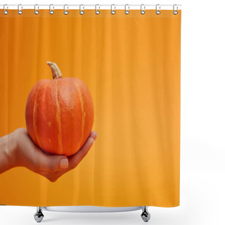 Personality  Close-up Partial View Of Woman Holding Ripe Fresh Pumpkin On Orange  Shower Curtains