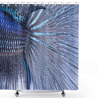 Personality  Betta Tail Fish Abstract Shower Curtains