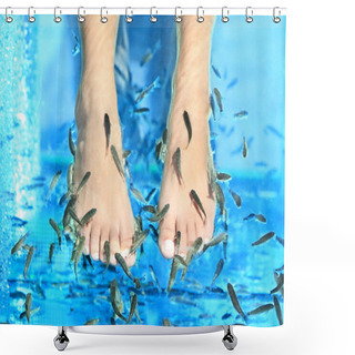 Personality  Fish Spa Shower Curtains