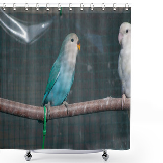 Personality  A Selective Focus Shot Of Rosy-faced Lovebirds (Agapornis Roseicollis) Perched On A Branch Shower Curtains