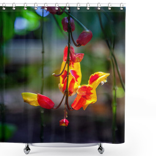Personality  Close Up View Of Beautiful Exotic Flower Shower Curtains