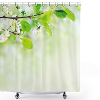 Personality  White Spring Flowers On A Tree Branch Shower Curtains