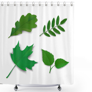 Personality  Summer Oak Maple Ash Birch Leaves Shower Curtains