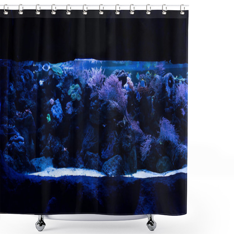 Personality  Fishes Swimming Under Water Among Corals In Aquarium With Blue Lighting Shower Curtains