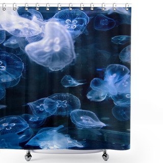 Personality  The Colorful Aquarium Full Of Many Jellyfishes In Aqua Park Shower Curtains