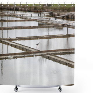 Personality  Black-Winged Stilt Wading In Water Shower Curtains