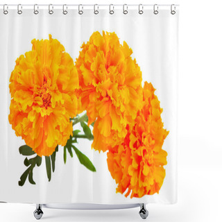 Personality  Marigold Flower Shower Curtains