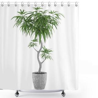 Personality  Decorative Pot Plant Palm Shower Curtains