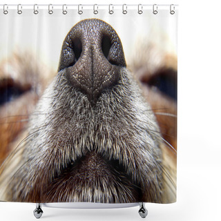 Personality  Nose Of Dog Shower Curtains