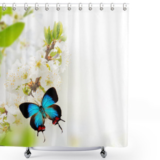 Personality  Spring Blossoms With Exotic Butterfly. Shower Curtains