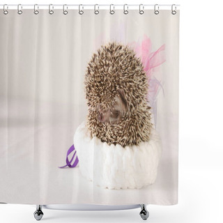 Personality  Friendly Wild Animal Hedgehog Shower Curtains