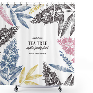 Personality  Tea Tree Leaves And Flowers In Hand Drawn Style, Vector Illustration, Design Elements On White Backround Shower Curtains