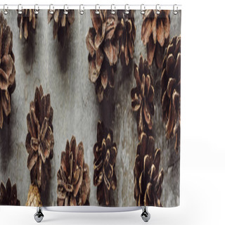 Personality  Panoramic Shot Of Dry Spruce Cones Scattered On Grey Stone Surface Shower Curtains
