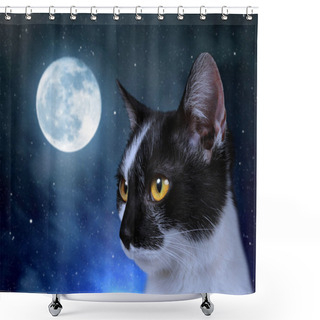 Personality  Cat In The Dark Night. Shower Curtains