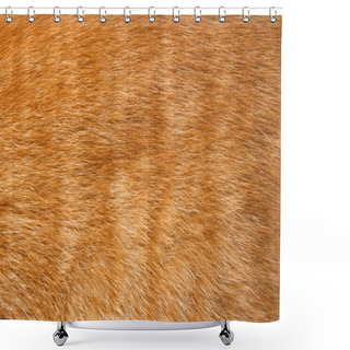 Personality  Cat Fur Texture Shower Curtains