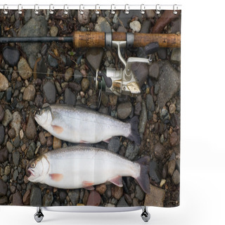 Personality  Spinning And Caught Trout Shower Curtains