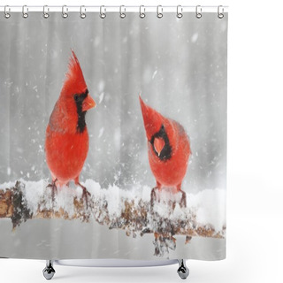 Personality  Cardinals In Snow Shower Curtains