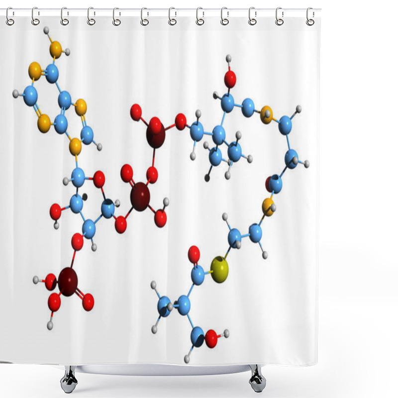 Personality  3D Image Of 3-Hydroxyisobutyryl-CoA Skeletal Formula - Molecular Chemical Structure Of  Intermediate In The Metabolism Of Valine Isolated On White Background Shower Curtains