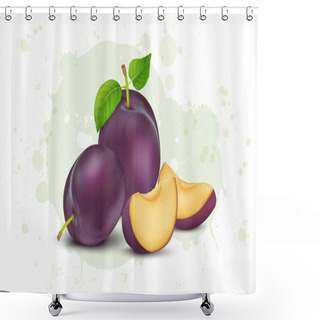 Personality  Set Of Purple Plum Fruit Vector Illustration With Green Leaves And Fruit Slices Shower Curtains