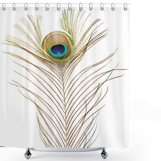 Personality  Peacock Feather Isolated On White Shower Curtains