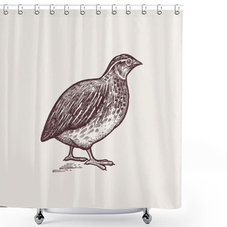 Personality  Graphic Illustration - Poultry Quail. Shower Curtains