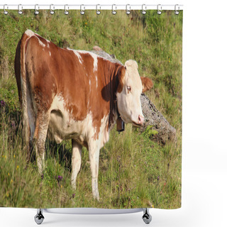 Personality  Cow In Green Field Shower Curtains