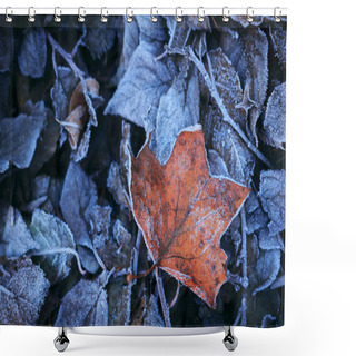 Personality  Frost On Leaves Shower Curtains