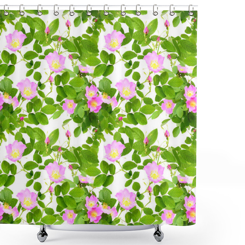 Personality  Seamless Pattern Of Dog-roses Flowers Shower Curtains