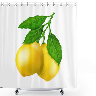 Personality  Lemon Plant With Leaves And Fruits Of Lemon. Vector Illustration. Shower Curtains