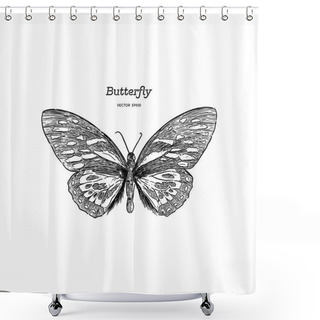Personality  Orange Monarch Butterfly , Hand Draw Sketch Vector. Shower Curtains