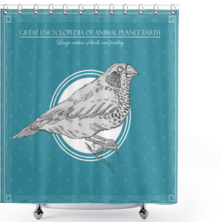 Personality  Great Encyclopedia Of Animal Planet Earth, Vintage Bird Illustration Shower Curtains