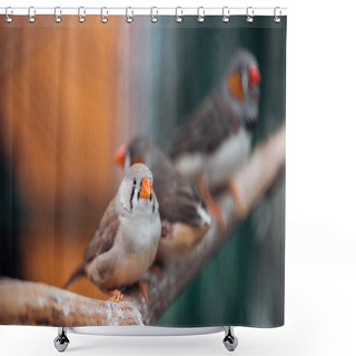 Personality  Selective Focus Of Cute And Colorful Birds On Wooden Branch Shower Curtains