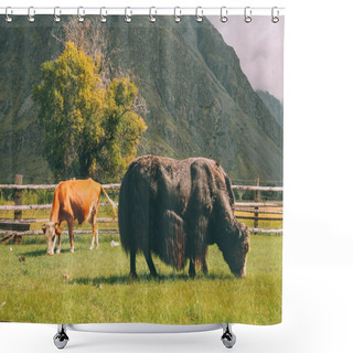 Personality  Cow And Bison Shower Curtains