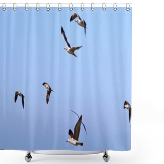 Personality  The Vast Sky Above Your Head  Shower Curtains