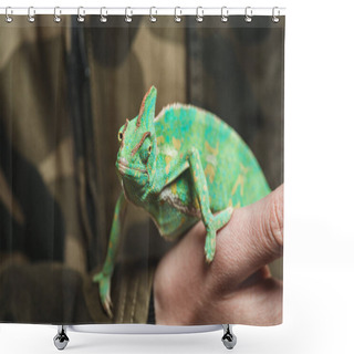 Personality  Cropped Shot Of Man Holding Beautiful Colorful Chameleon  Shower Curtains