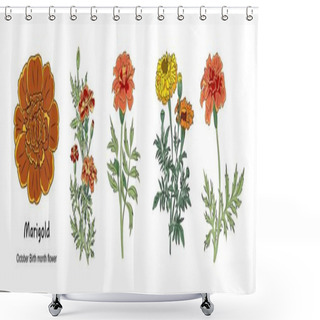 Personality  Marigold October Birth Month Flower Colorful Vector Illustrations Set Isolated On White Background. Floral Modern Minimalist Design For Logo, Tattoo, Wall Art, Poster, Packaging, Stickers, Prints.  Shower Curtains