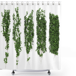 Personality  Ivy Leaves Isolated On A White Background. Shower Curtains