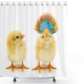 Personality  Two Chicks One Crazy Shower Curtains