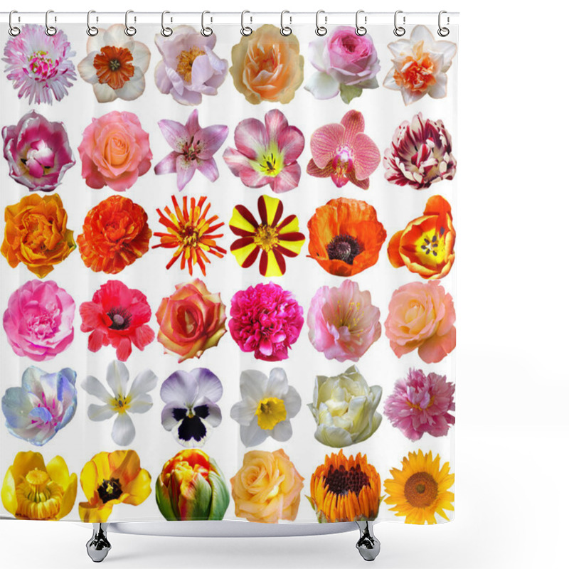 Personality  Big Selection Of Various Flowers Isolated On White Background Shower Curtains