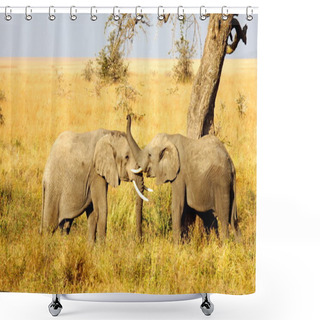 Personality  Two Elephants Playing Together Shower Curtains