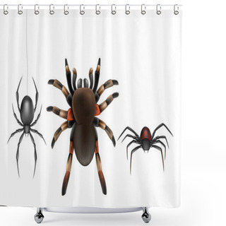 Personality  Poisonous Spiders Species Cartoon Vector Set Shower Curtains